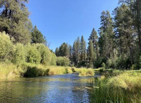 Williamson River Campground