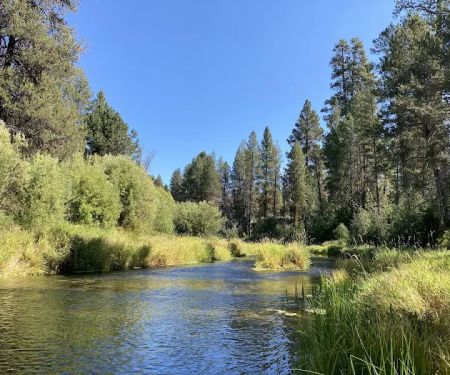 Williamson River Campground