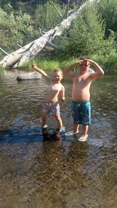 Williamson River Campground Picture 9