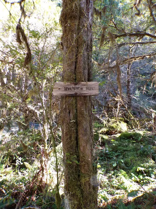 Devil's Flat Campground Picture 2