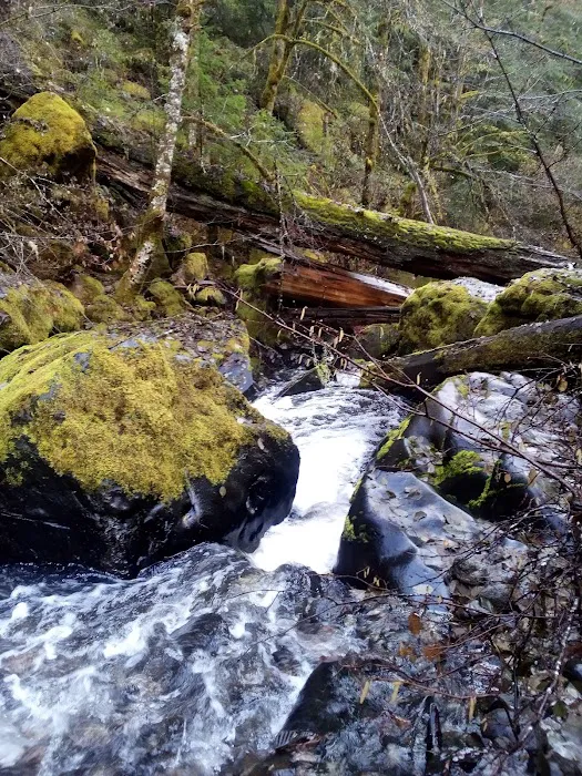Devil's Flat Campground Picture 8