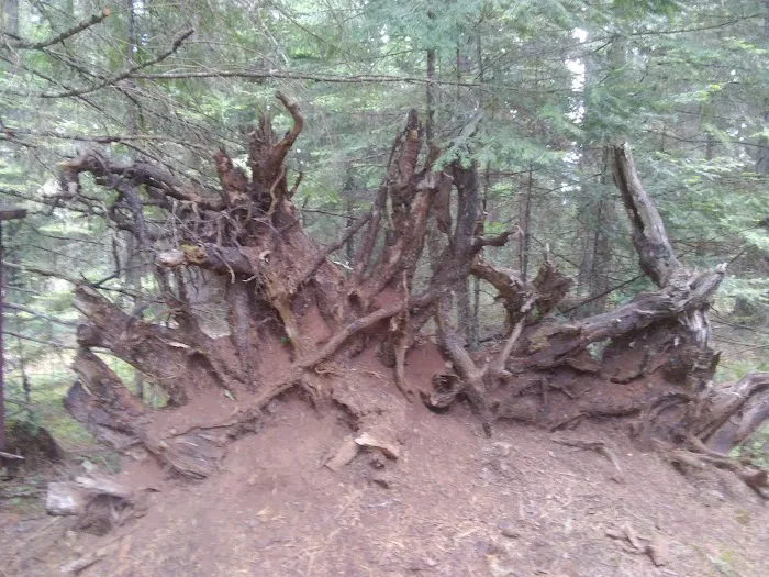 Threehorn Campground Picture 1