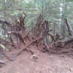 Threehorn Campground