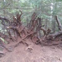 Threehorn Campground ico