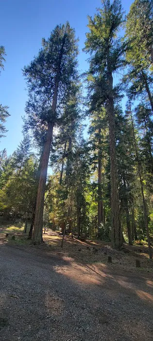 Threehorn Campground Picture 2