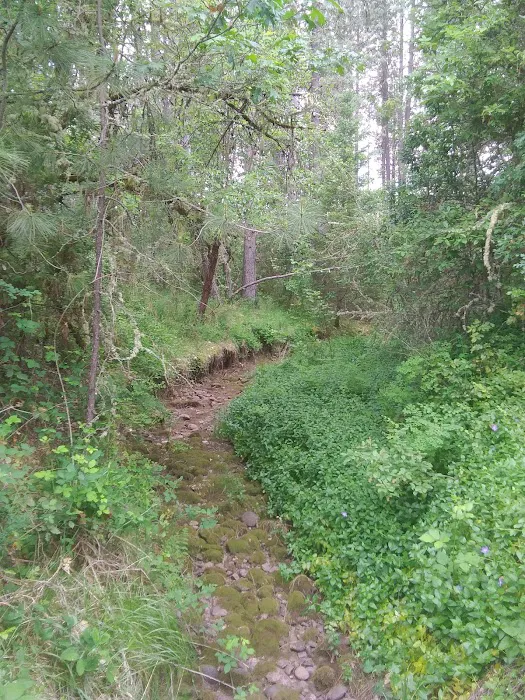 Threehorn Campground Picture 4