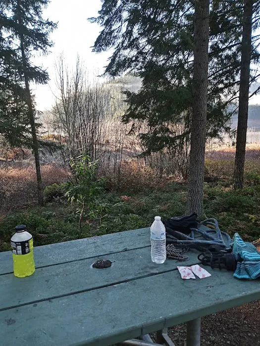 Chief Miwaleta Campground Picture 3