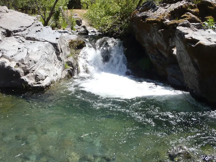 Tyee Campground Picture 2