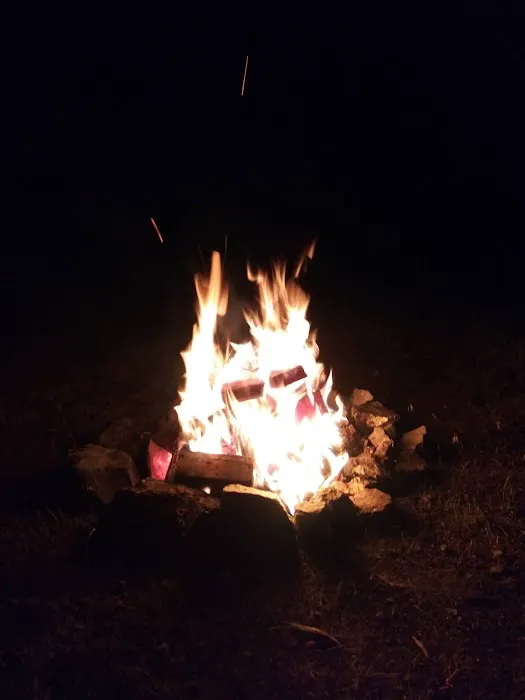 Skull Creek Campground Picture 2