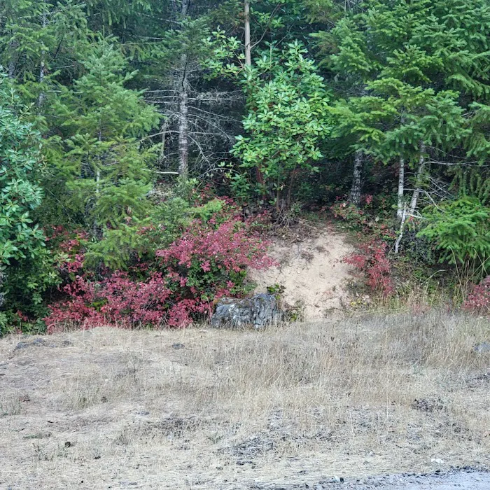 Skull Creek Campground Picture 8
