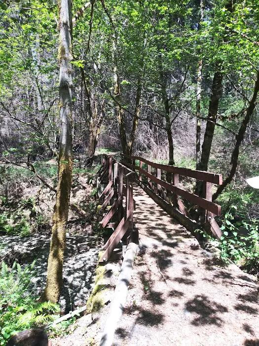 Big Pine Campground Picture 2