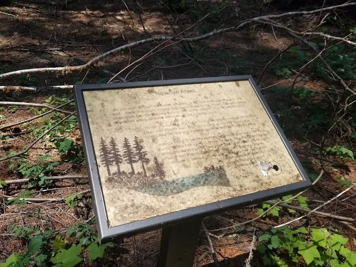 Big Pine Campground Picture 9