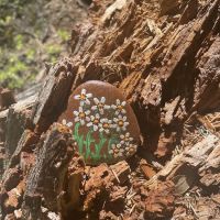 Natural Bridge Campground ico