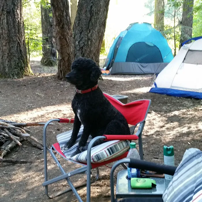 Natural Bridge Campground Picture 9