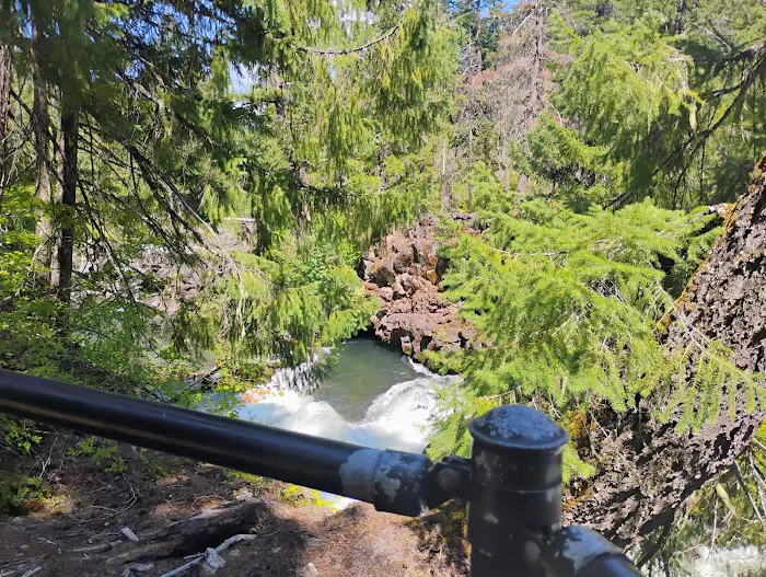 Natural Bridge Campground Picture 5