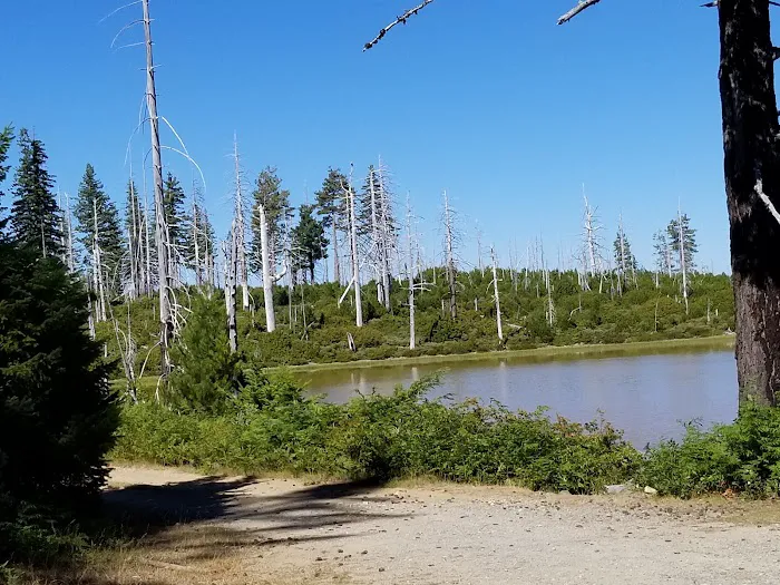 Game Lake Campground Picture 6