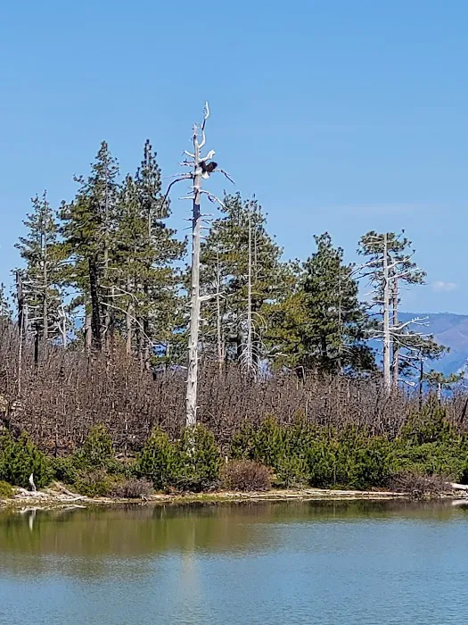 Game Lake Campground Picture 2