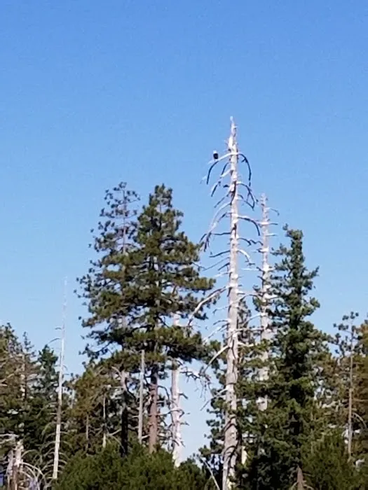 Game Lake Campground Picture 9