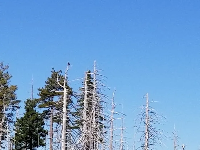 Game Lake Campground Picture 8