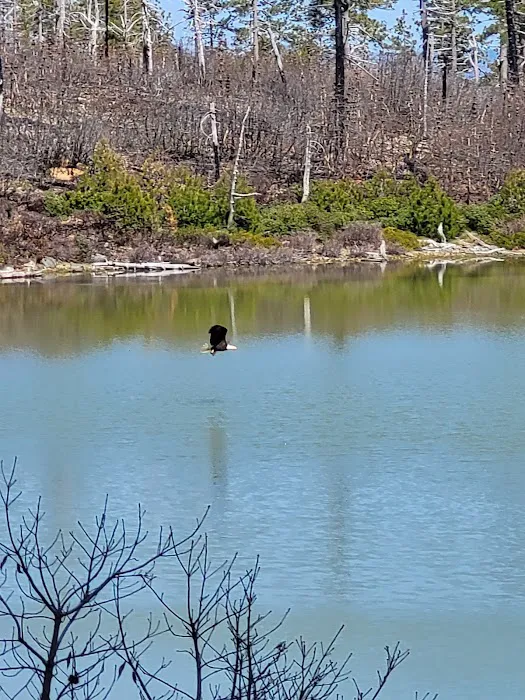 Game Lake Campground Picture 5