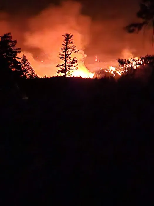 Oak Flat Campground Picture 1