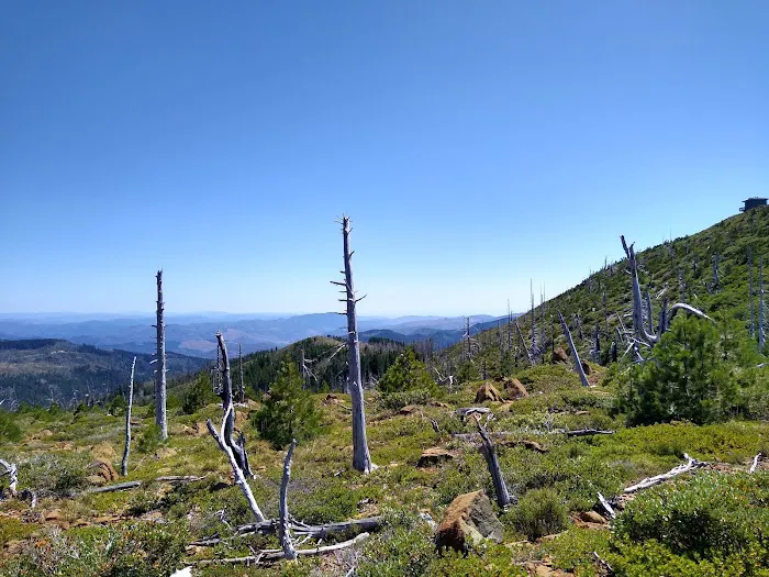 Snow Camp Lookout Picture 3