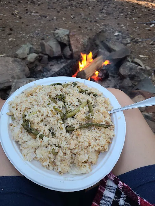Elko Dispersed Camping Picture 4
