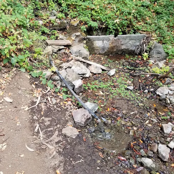 Buckeye Campground Picture 7