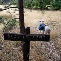 Buckeye Campground ico