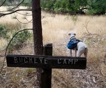 Buckeye Campground