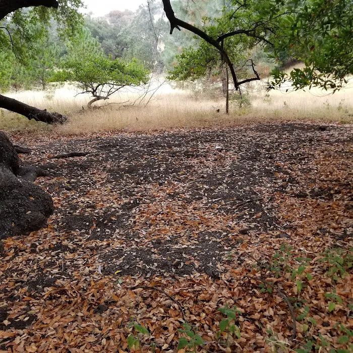 Buckeye Campground Picture 2