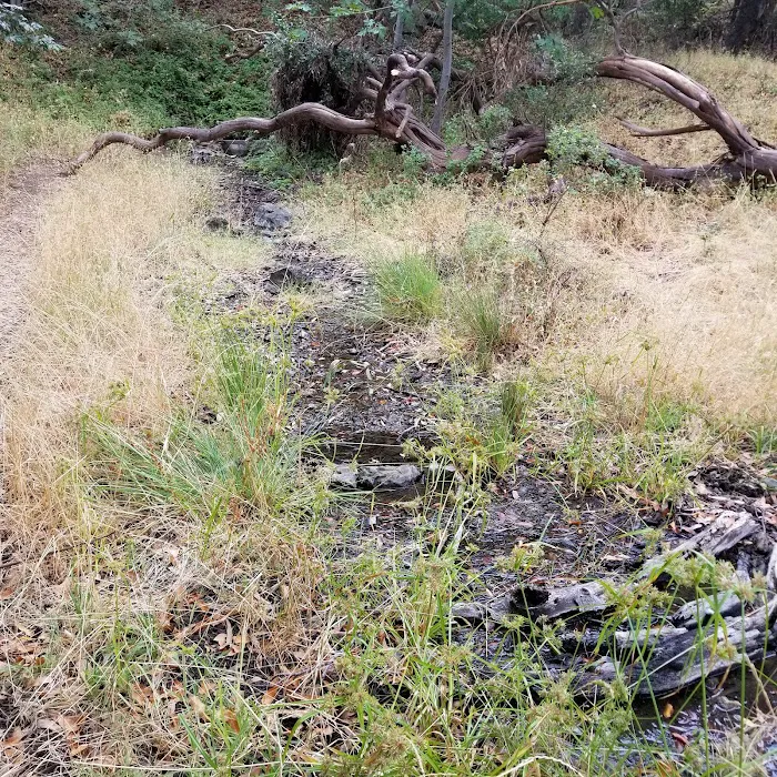 Buckeye Campground Picture 6