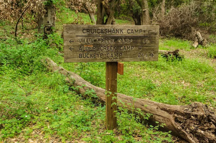 Upper Cruickshank Campground Picture 3