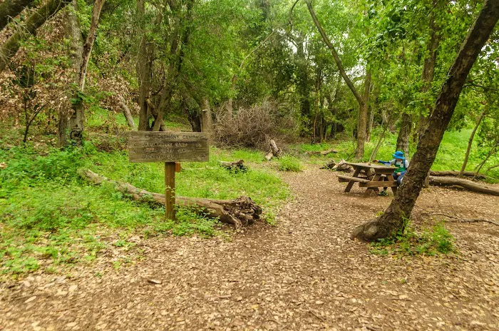 Upper Cruickshank Campground Picture 4
