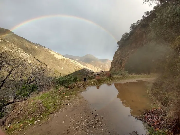 Arroyo Seco Campground Picture 5