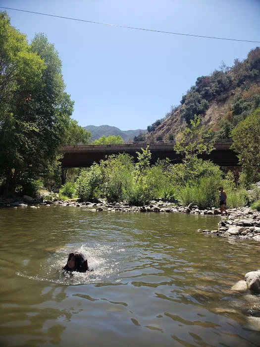 Arroyo Seco Campground Picture 9