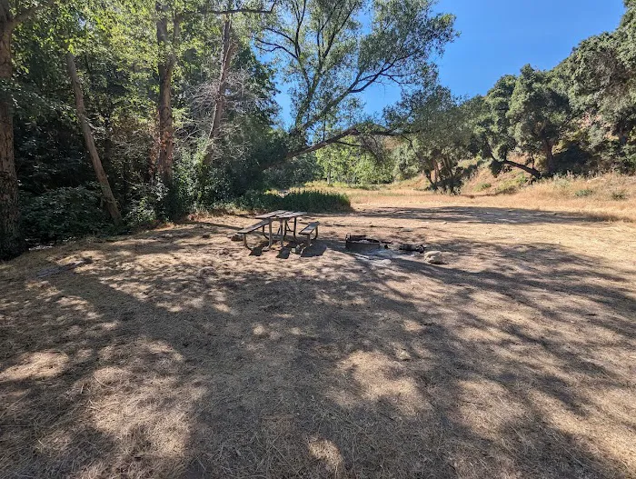 Lower Piney Creek Campground Picture 5