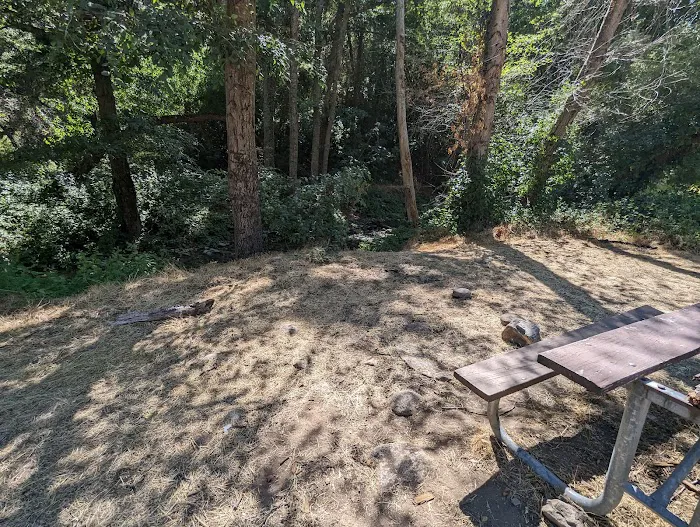 Lower Piney Creek Campground Picture 4