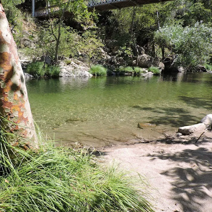 Arroyo Seco Group Campground Picture 8
