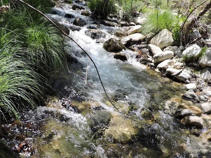 Arroyo Seco Group Campground Picture 7