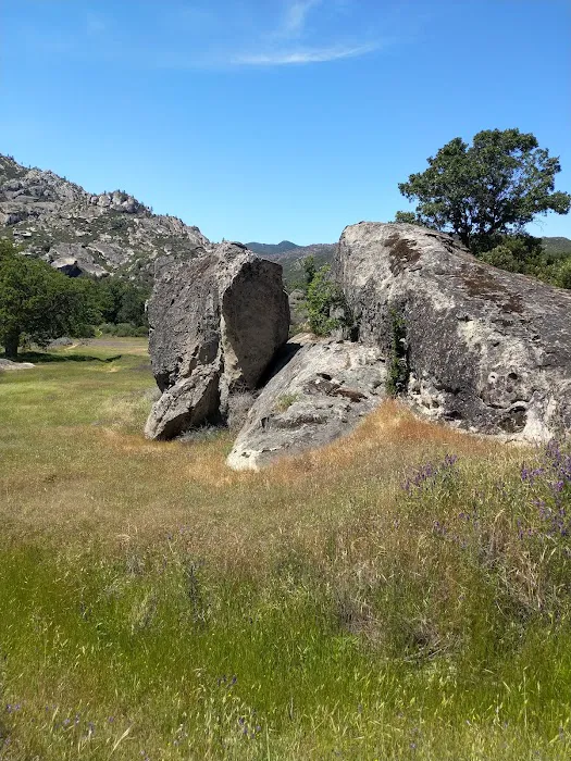 Memorial Park Campground Picture 9