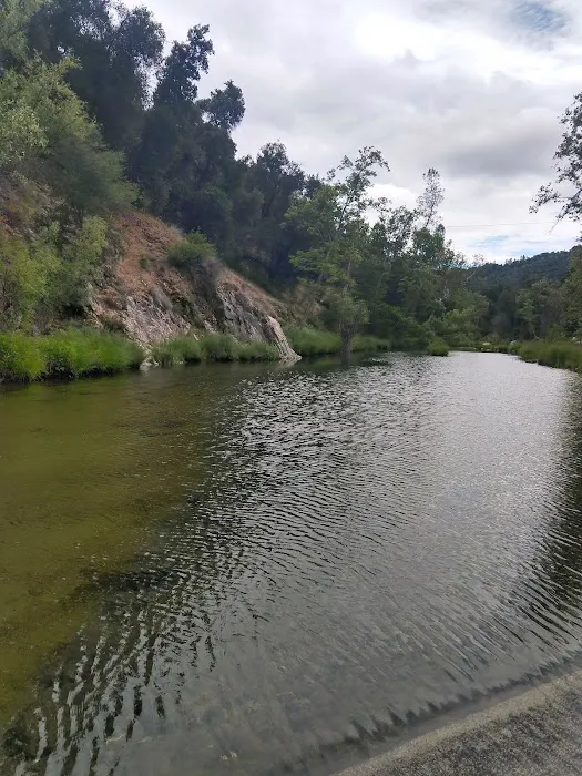 Memorial Park Campground Picture 5