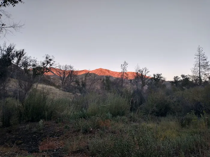 Memorial Park Campground Picture 2