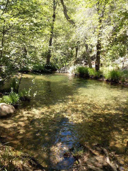 Memorial Park Campground Picture 10