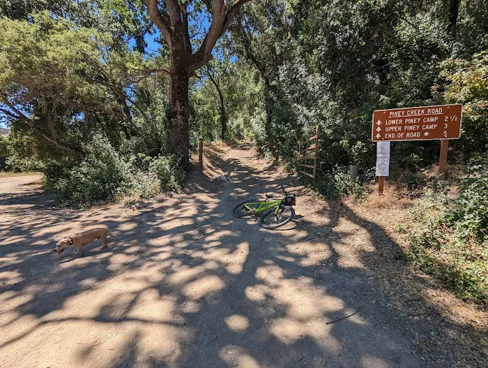 Piney Creek Campground Picture 7