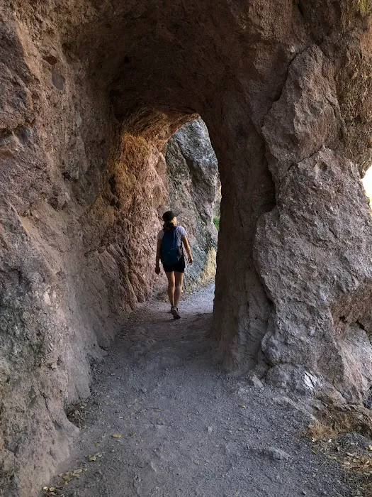 Pinnacles Campground Picture 2