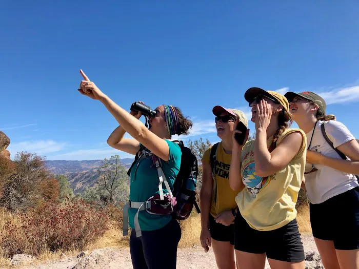 Pinnacles Campground Picture 10