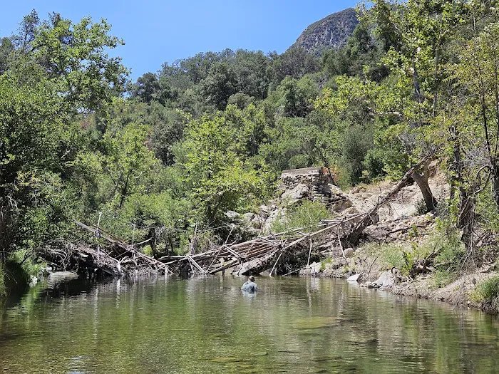 Sandy campgrounds Picture 7