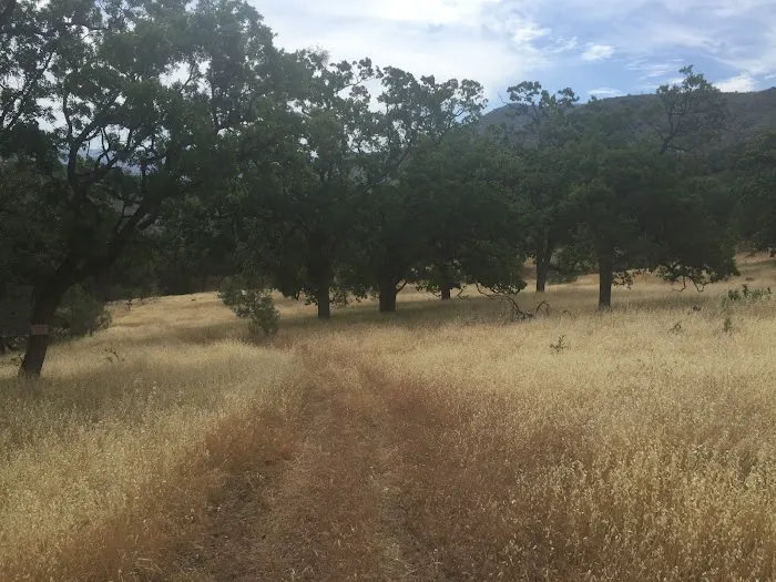 Sweetwater Campground Picture 10
