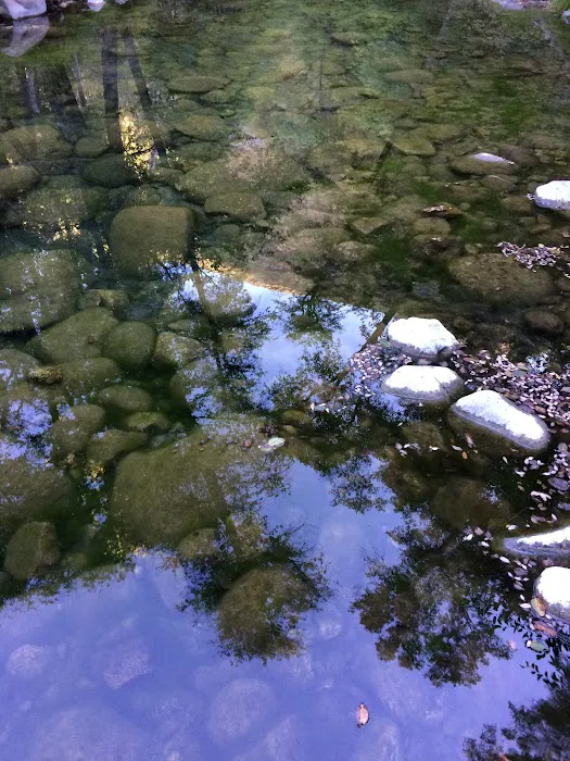 Escondido Campground Picture 6